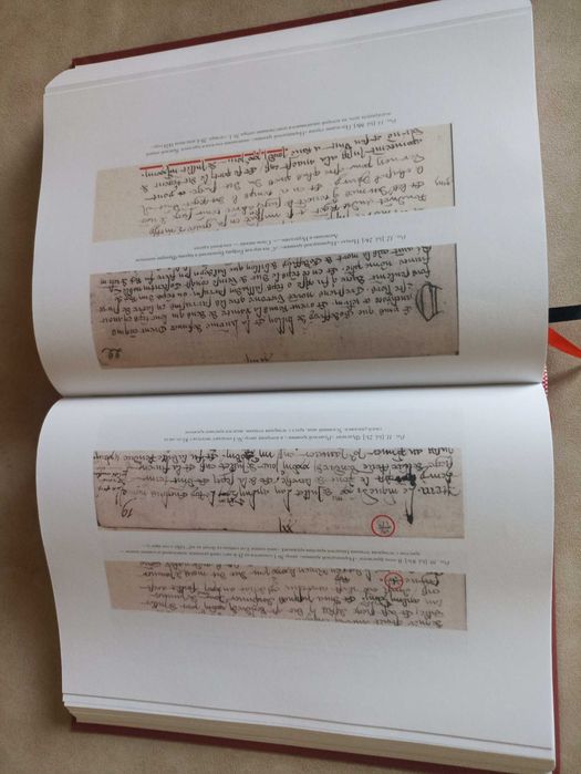 Нормандская хроника: Пьер Кошон