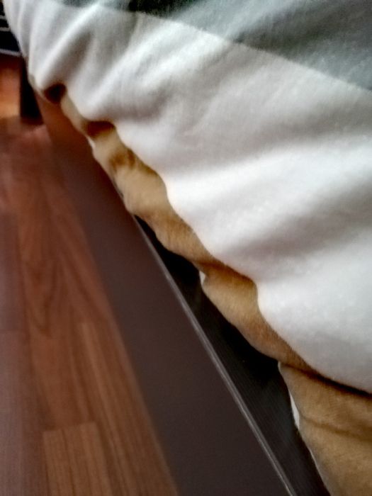 Cama casal Wengue Grande