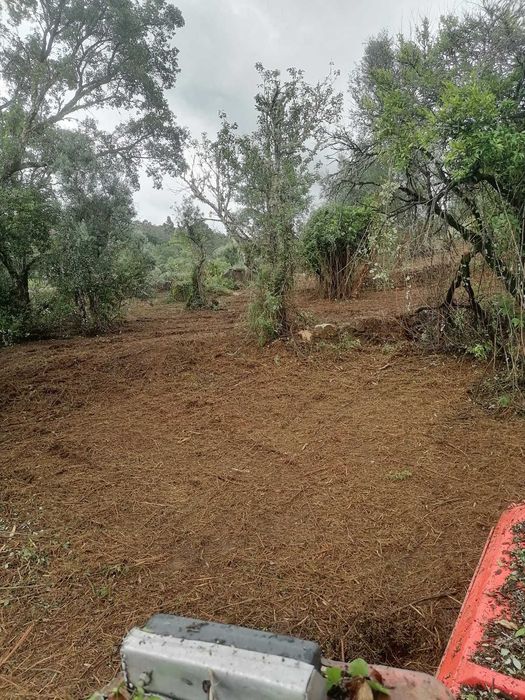Terreno em Mação