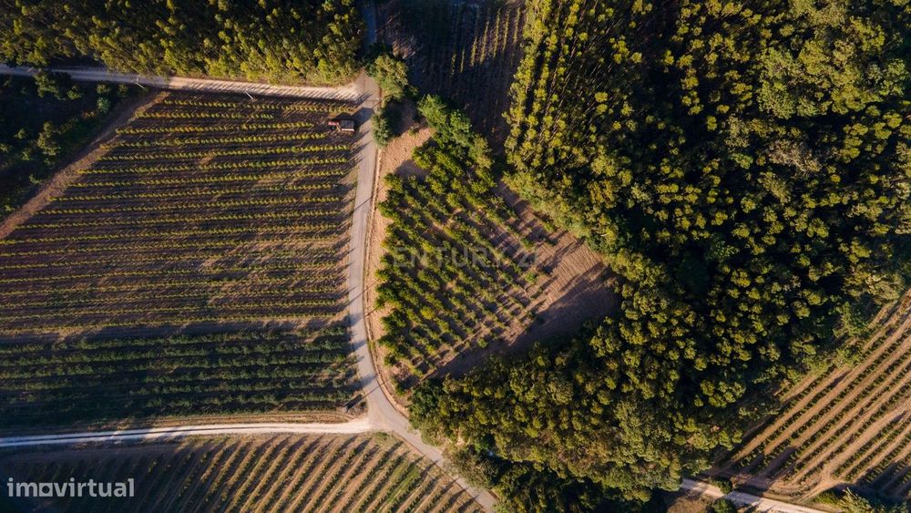 Terreno com Vista Montanha em Salir de Matos, Caldas da Rainha