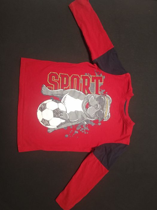 Bluzka dziecięca chłopięca rozmiar 110cm pies stafik amstaf piłka