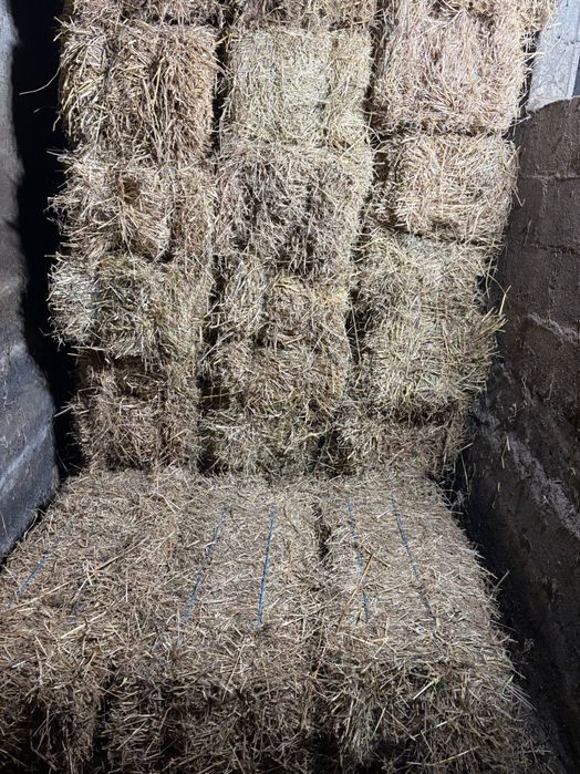 Fardos de palha 3,50euro casa um