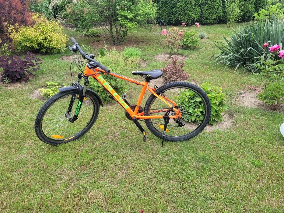 Rower kellys madman 10