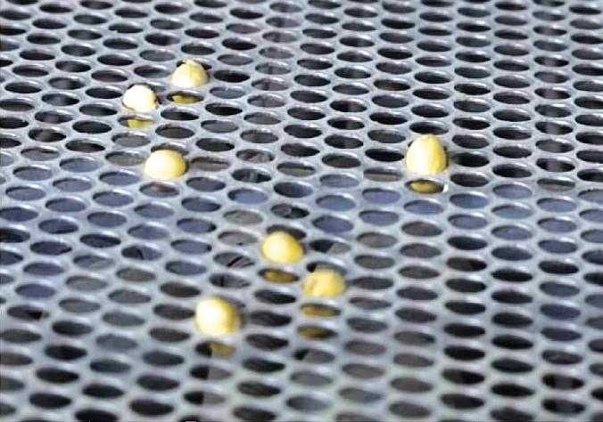 Купити насіння сої Махоні