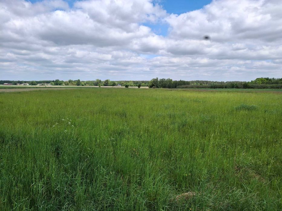 Sprzedam działki budowlane - Widok 4