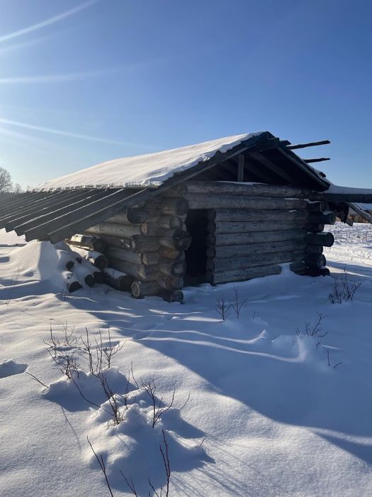 Продам зруб баня з дикого бруса