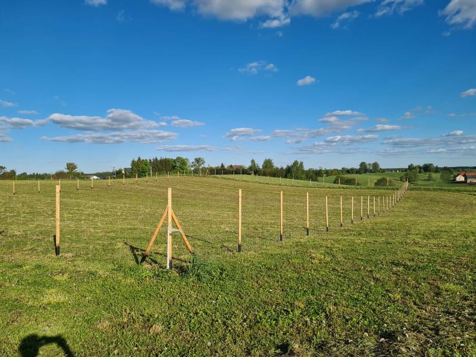 Ogrodzenie budowlane, ogrodzenie tymczasowe, ogrodzenie leśne, siatka leśna słupki toczone słupki ogrodzeniowe słupki okorowane,stemple budowlane