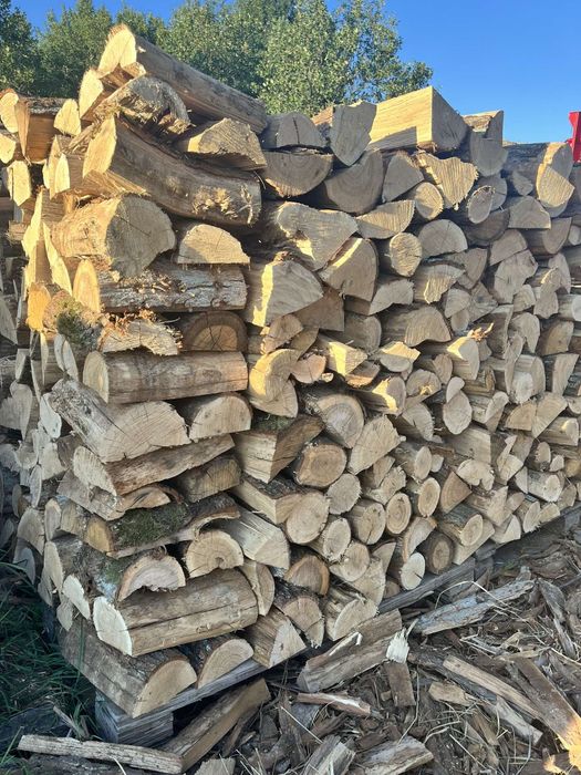 Drewno kominkowe i opałowe