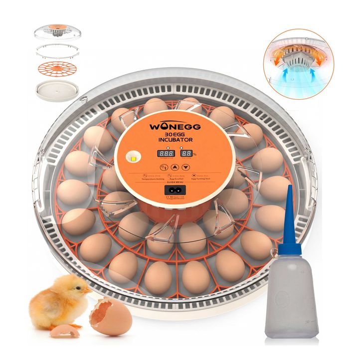 Inkubator 30H na 30 jaj (klujnik wylęgarka) automatyczny owoskop LED