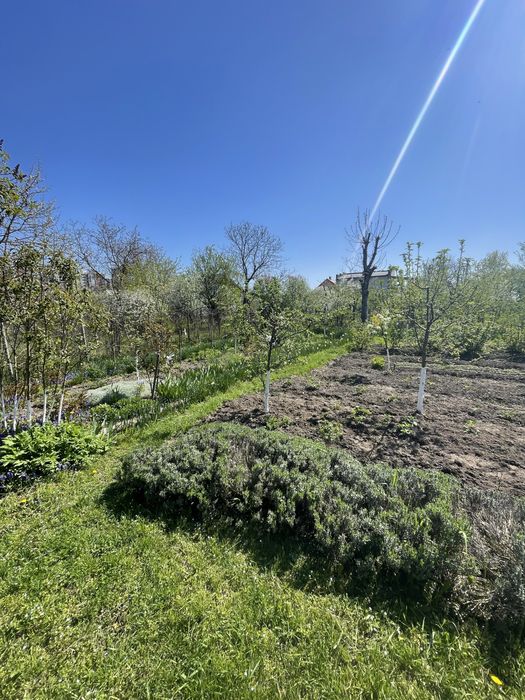 Продаж дачної ділянки поблизу міського озера