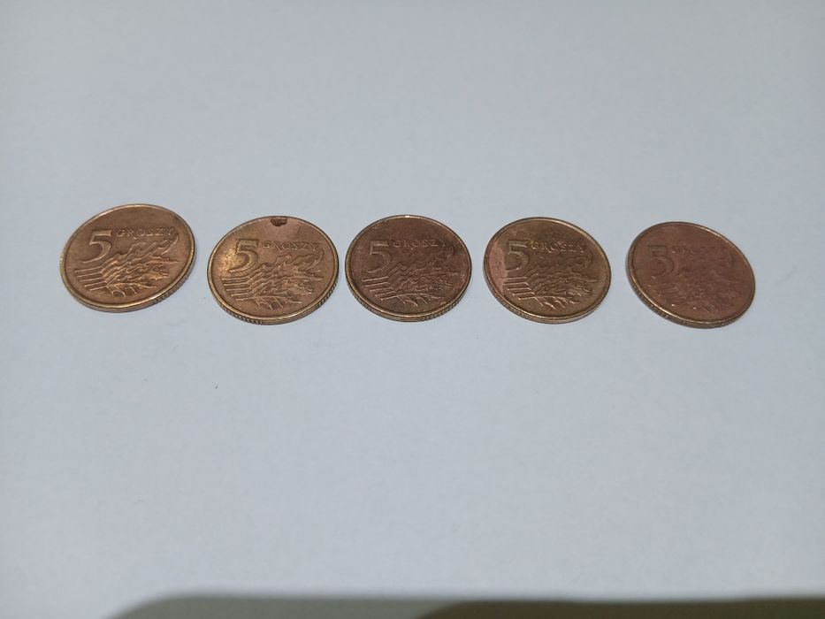 5. groszy 1999 miedź