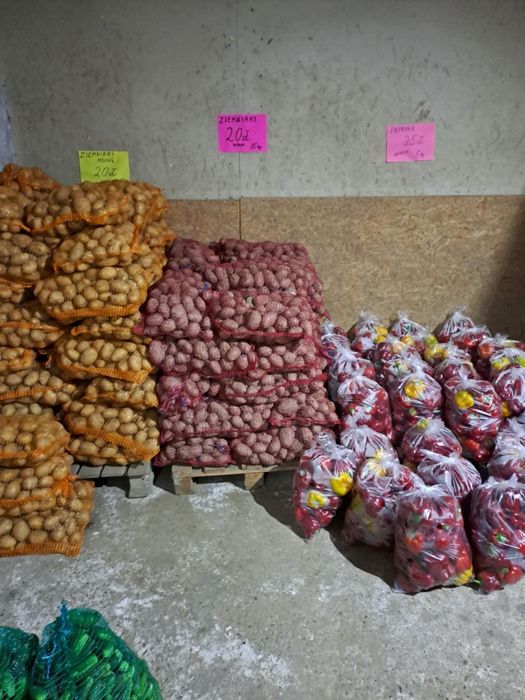 Ziemniaki jadalne i paszowe