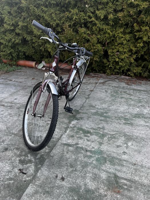 rower miejski coyote 26