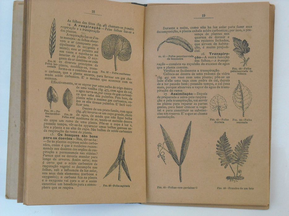 Botanica e Agricultura Prática, Publicação do Lavrador, 1916
