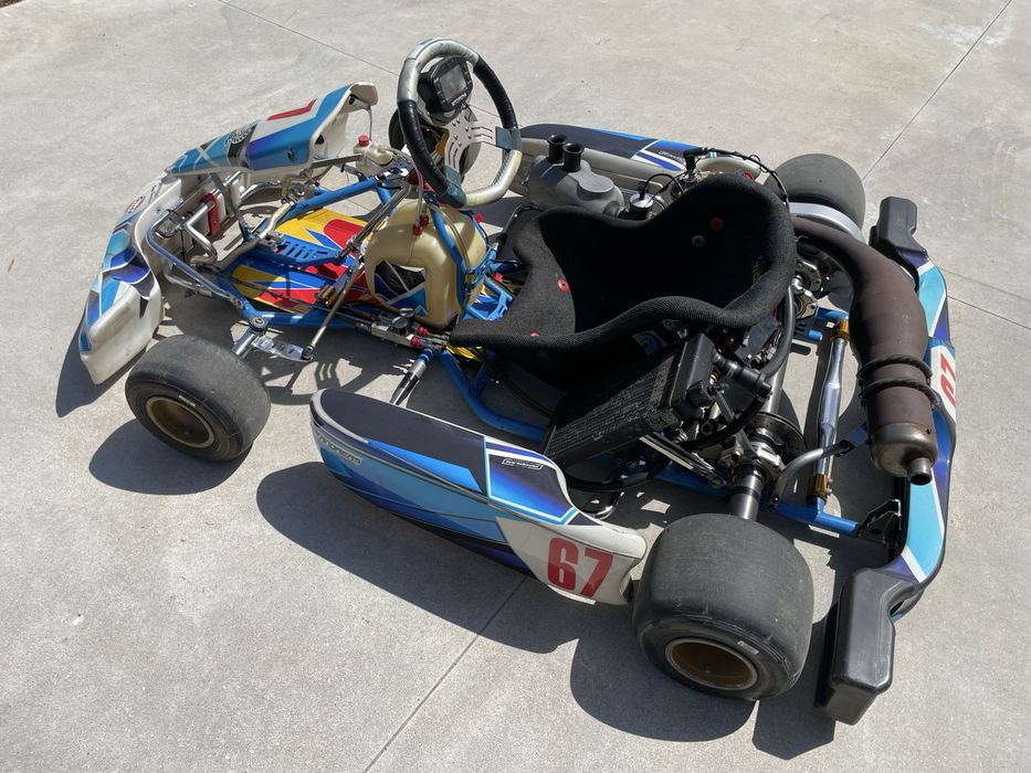 Kart Fernando Alonso | Motor Vortex 125 cc | 38 cv