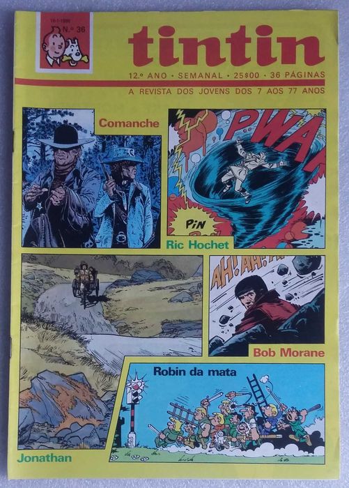 Tintim Nº 36 - 12º ano