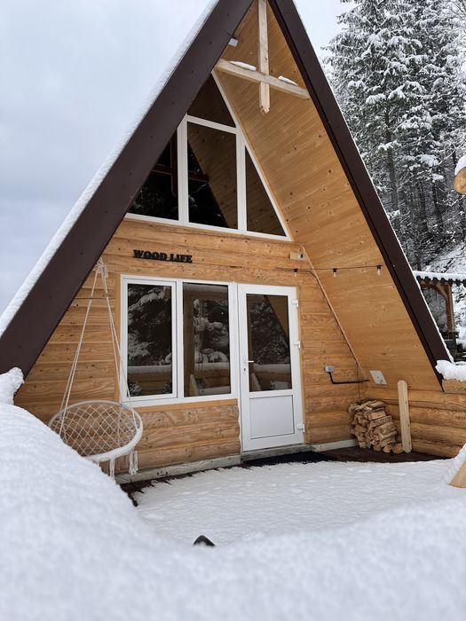 Будиночок в Карпатах