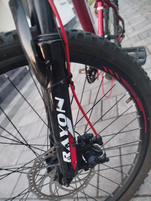 Rayon Viper Czerwony 24'' 2X Disc