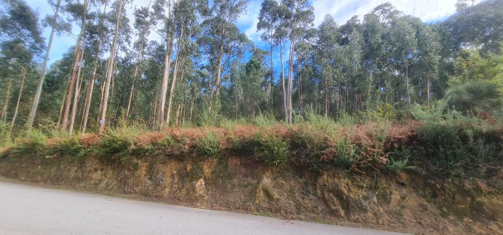 Terreno de 2300m² para venda no lugar de Salgueiral, Lobão