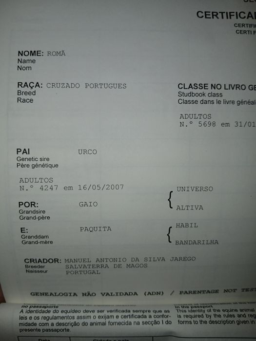 Egua baia  meiga