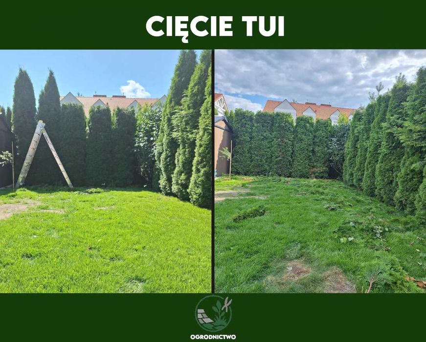 Wszystkie Prace Ogrodowe