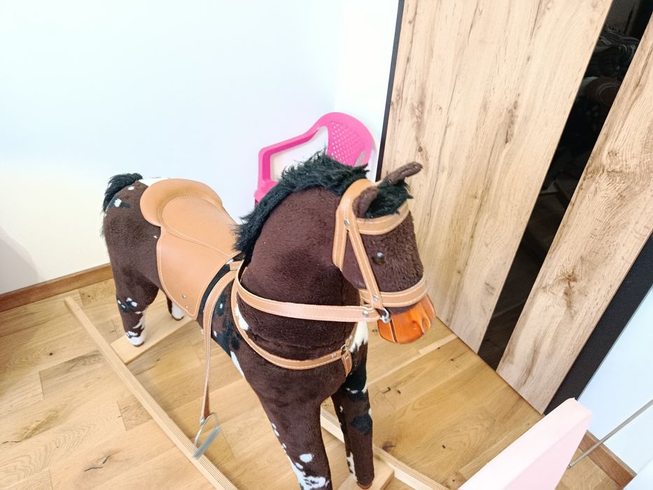 Konik na biegunach