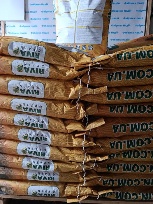 Кінетік під гранстар насіння соняшнику