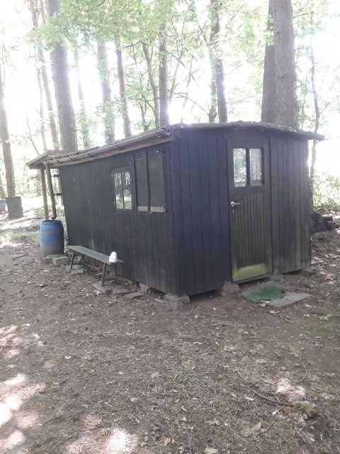 Altana domek wiata 2,8 x 4,5 m w lesie pasieczysko wypoczynek 15 arów