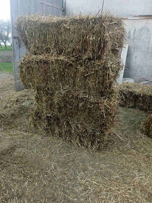 Тюки різні, сіно, конюшина, ліцерія