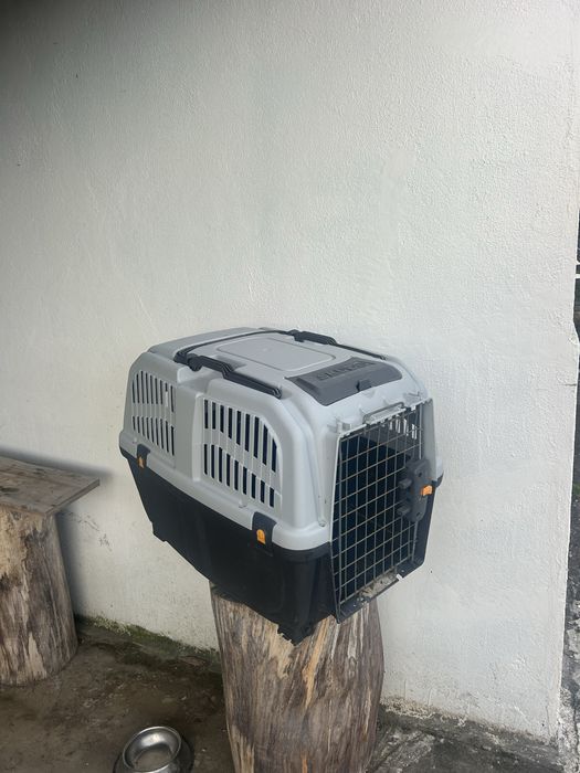 Caixa de viagem para cães