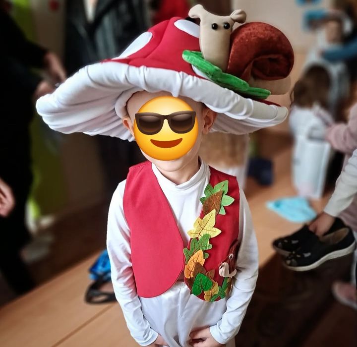 Мухомор, білий гриб, коричневий гриб