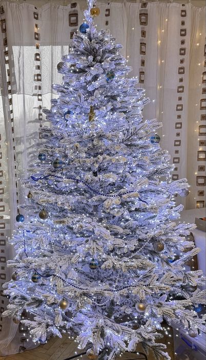 Ялинка Віденська лита, елка