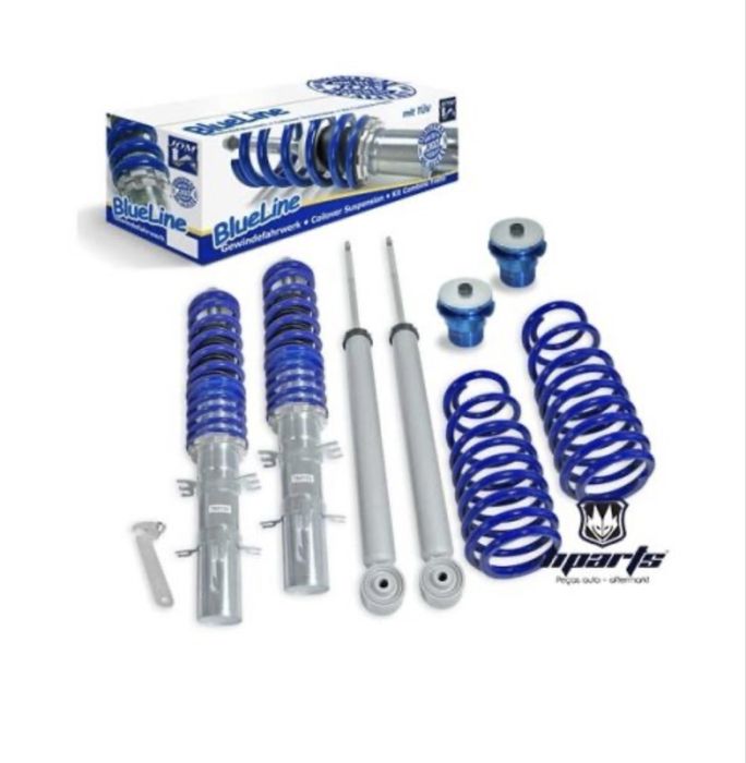 Coilovers seat leon 1m