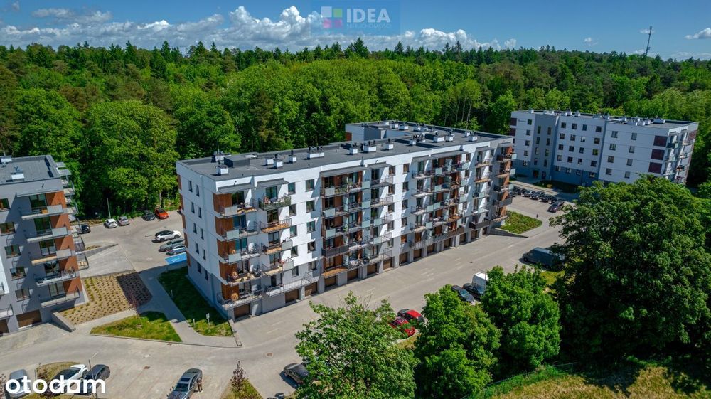 Bydgoska 3A - 3 pokoje od zaraz