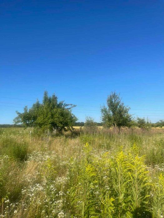 Продам земельну ділянку с.Порозове (0.15 га)