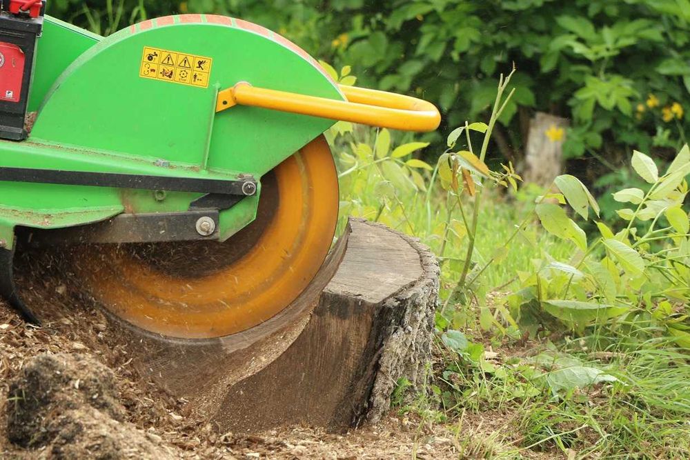 FREZOWANIE pni drzew | USUWANIE karp | karczowanie | wyrywanie