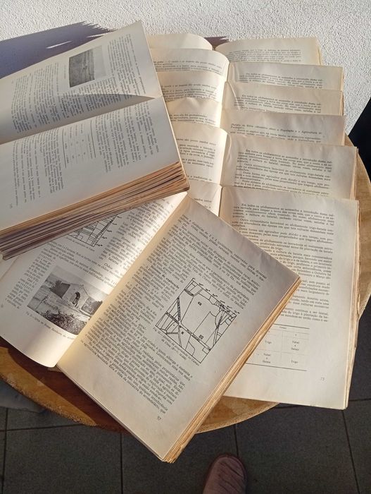 Oito Livros/monografias, vintage, 1944, de Júlio T. Montalvão