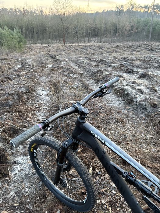 canyon spectral AL 6.0