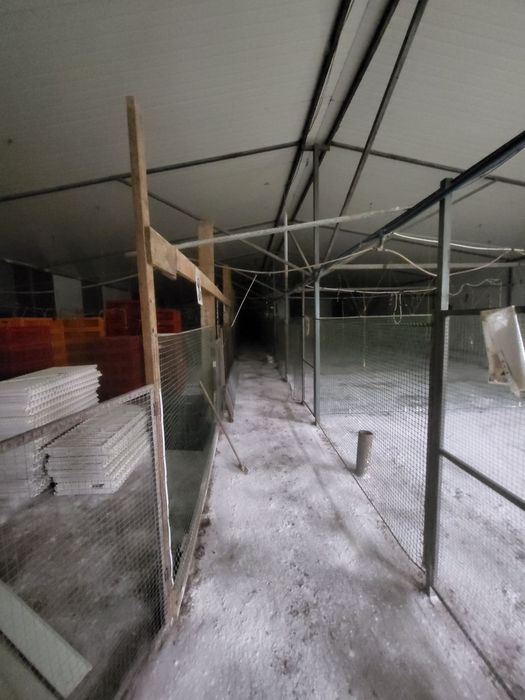 Продаж ферм. господарства 500 м.кв.