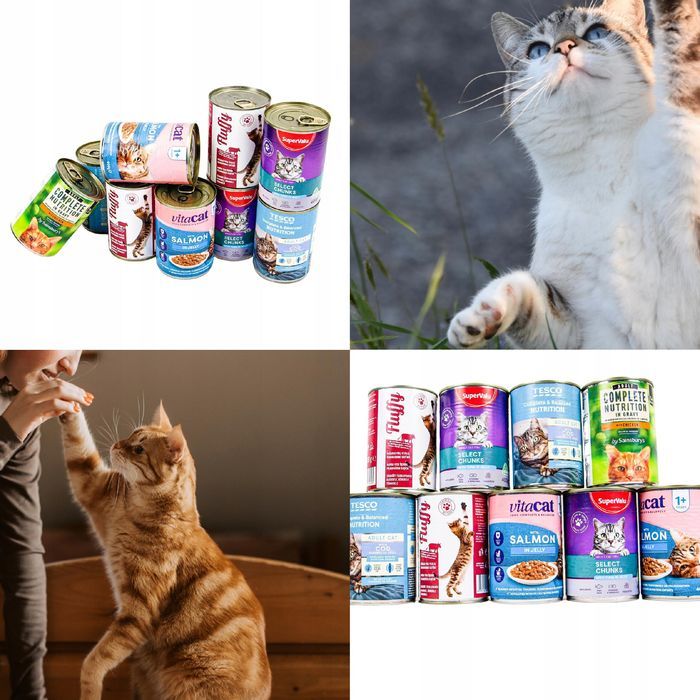 20 Szt. X 400G Karma Mokra Dla Kota Puszka Pakiet  Mix Smaków