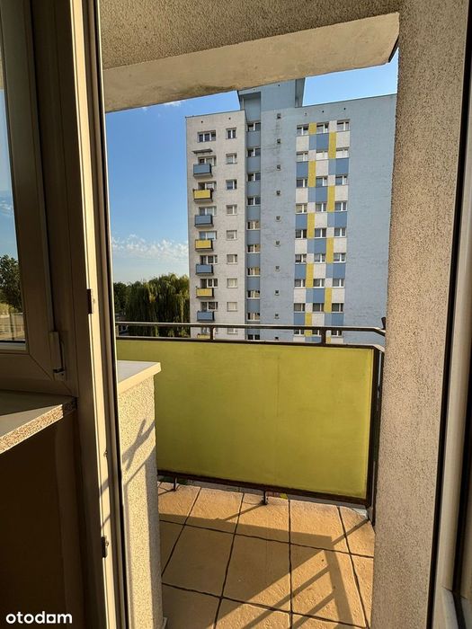 Zdjęcie 4