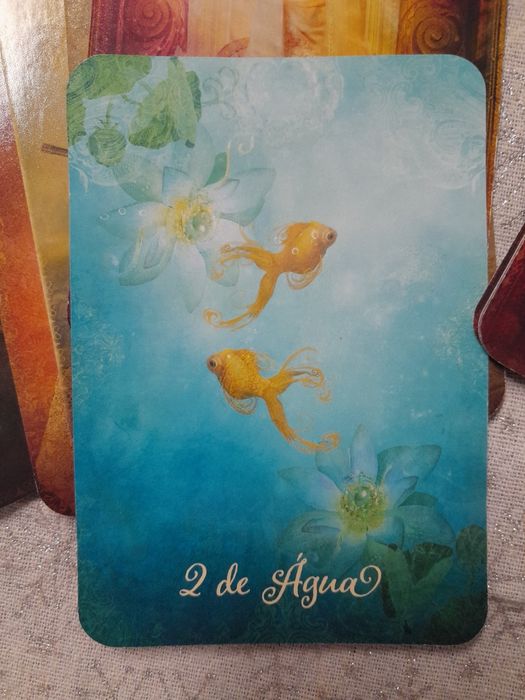 Cartas de tarot novo