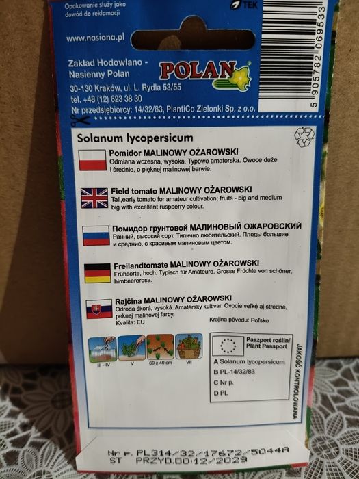 Pomidor malinowy Ożarowski wysoki