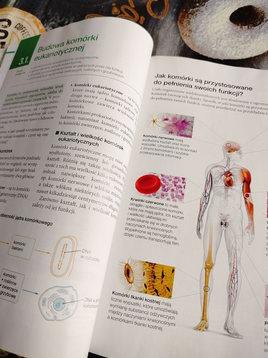 Biologia na czasie 1