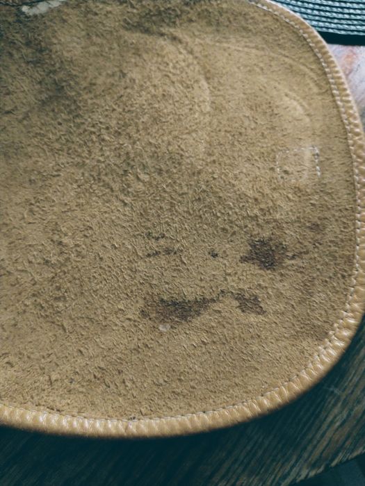 Karmelowa listonoszka