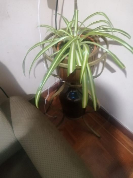 Latas, panelas recicladas