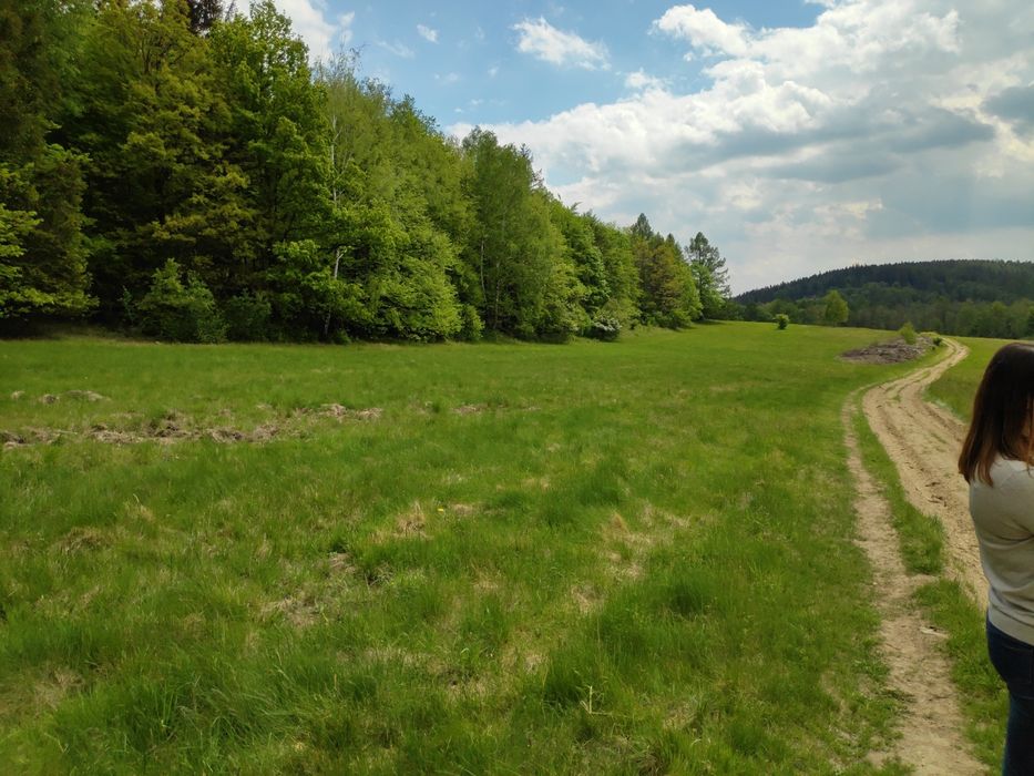Dzialka budowlana