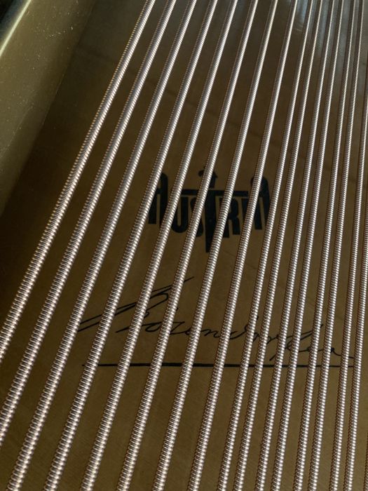 Piano de Cauda Bosendorfer