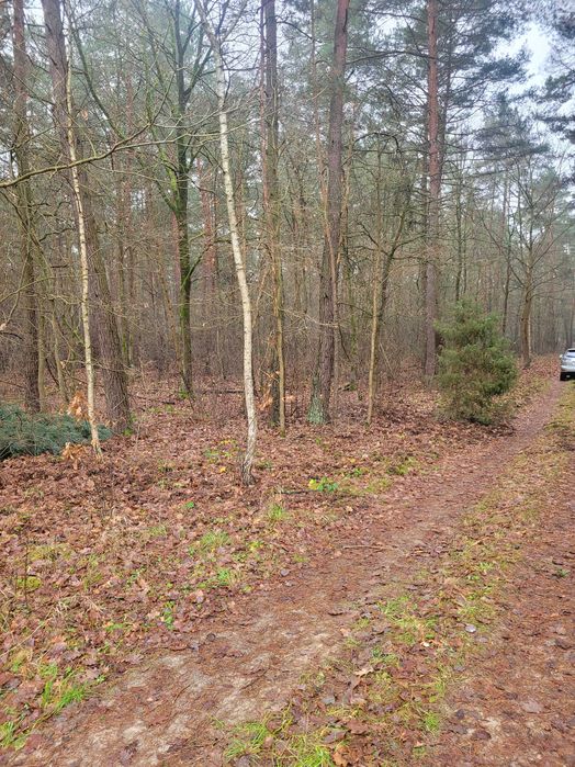 Działka letniskowa blisko Narwi