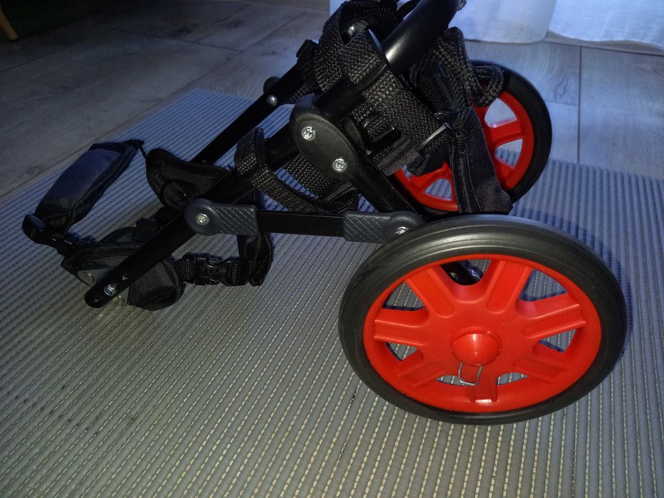 Wózek rehabilitacyjny/inwalidzki dla psa